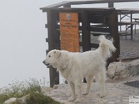 2026-07-28 Vetta Orientale 127